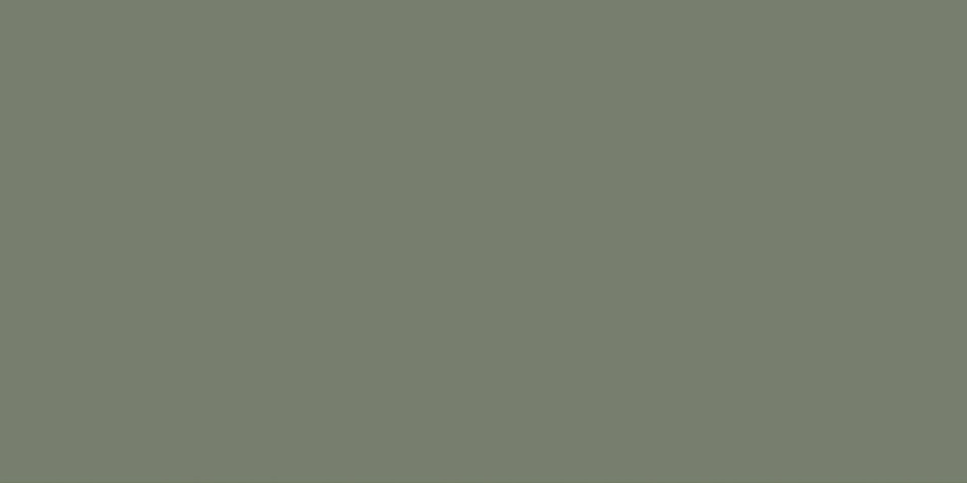 Ceramika Color OLIVE MAT - obklad OLIVE CKR19 30x60
