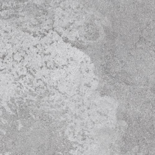 DAK62888.1_100