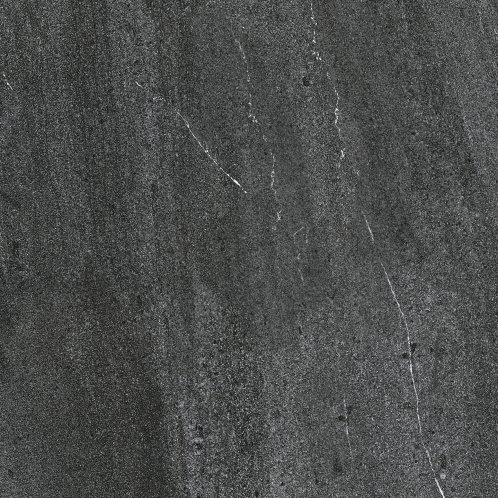 DAR66739.1_103