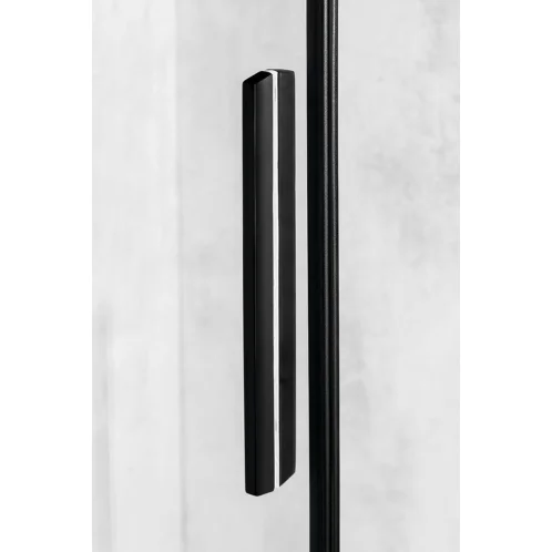 Polysan Altis Line - Sprchové dvere, 100x200 cm, matná čierna/číre sklo AL1512B