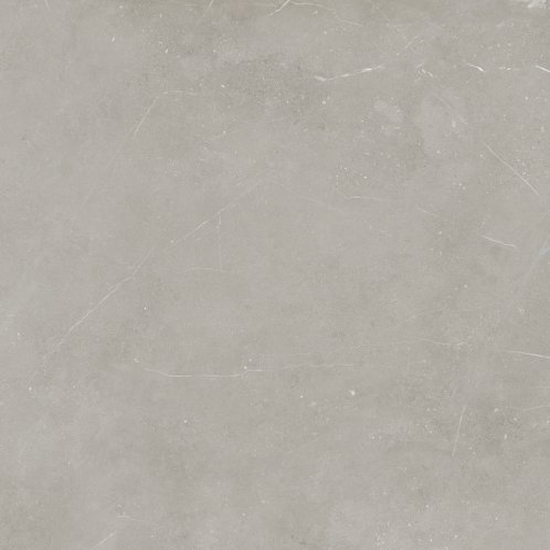 DAK81883