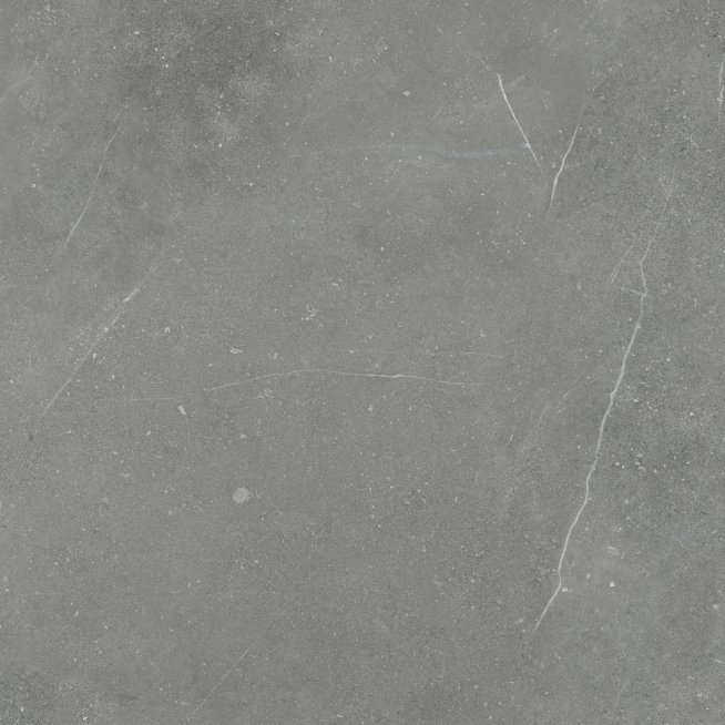 DAK62884.1_101