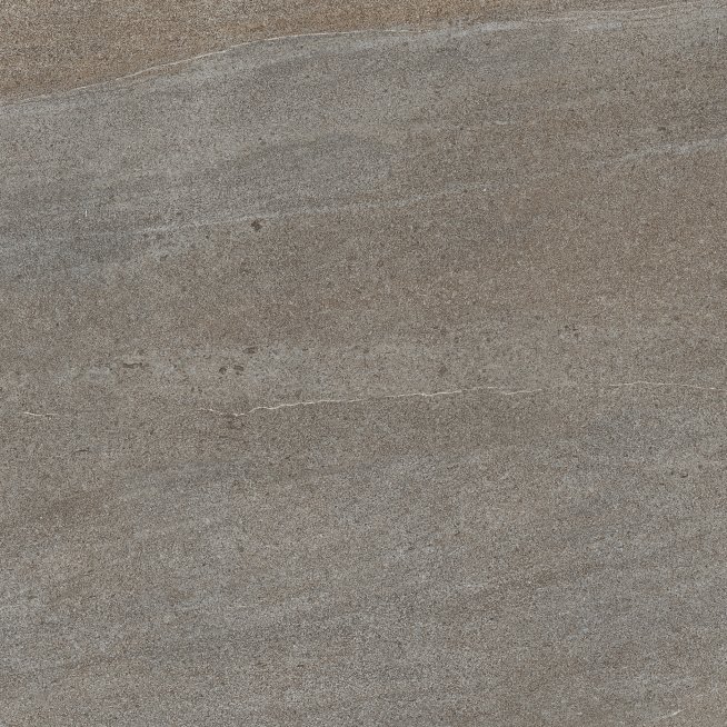 DAK62736.1_101
