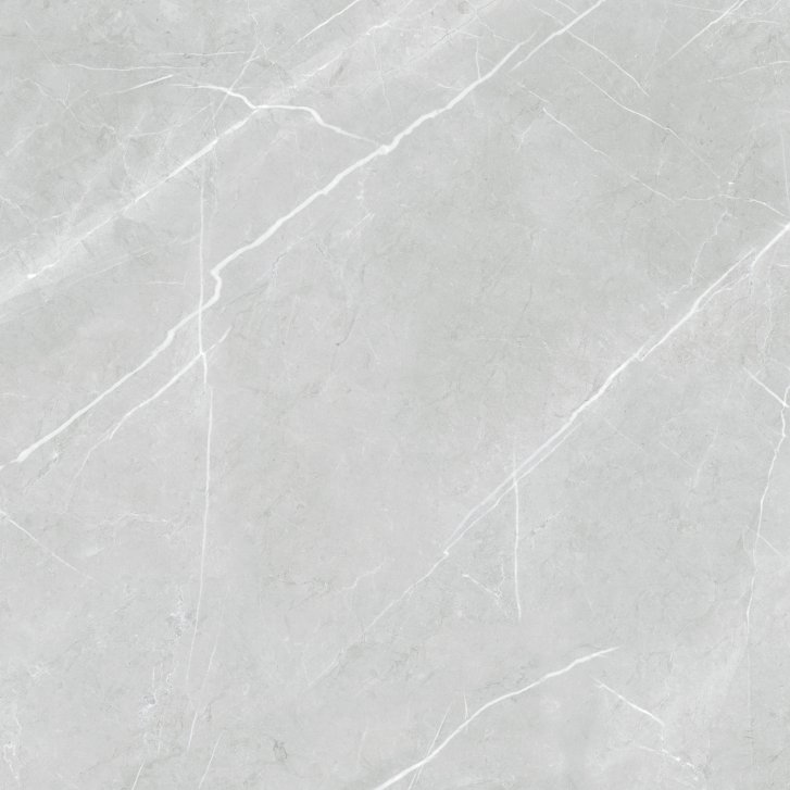 DAK62903.1_103