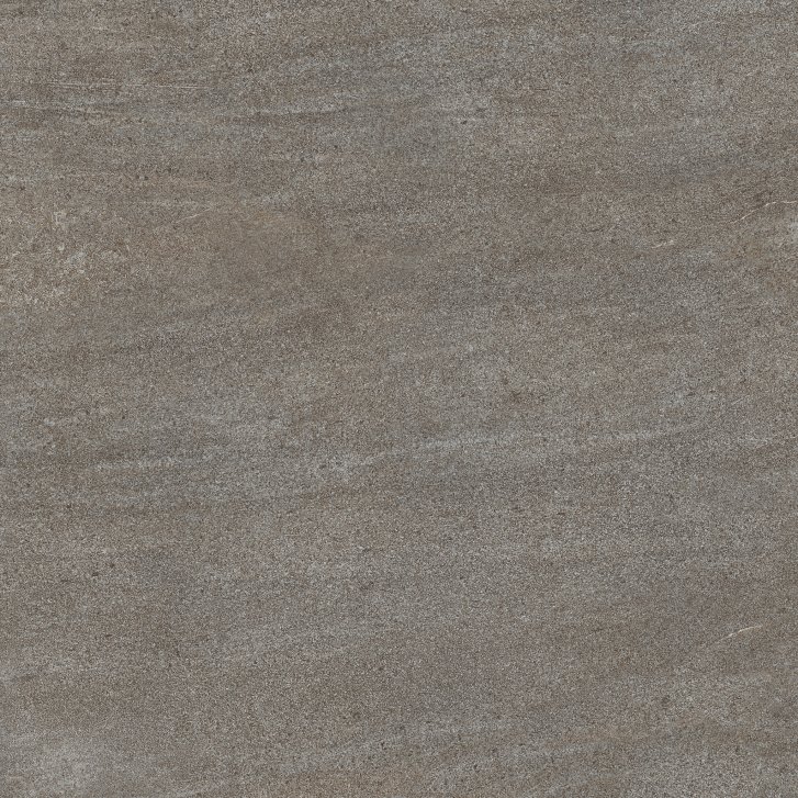 DAK62736.1_102