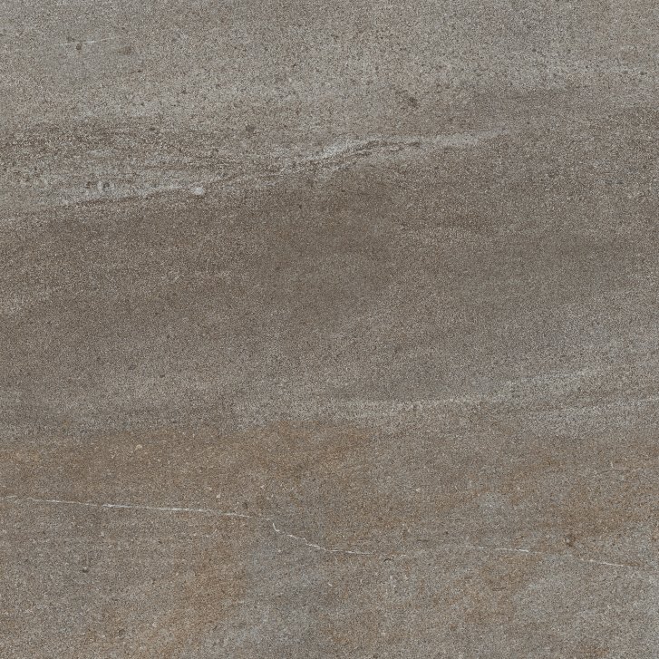 DAK62736.1_107