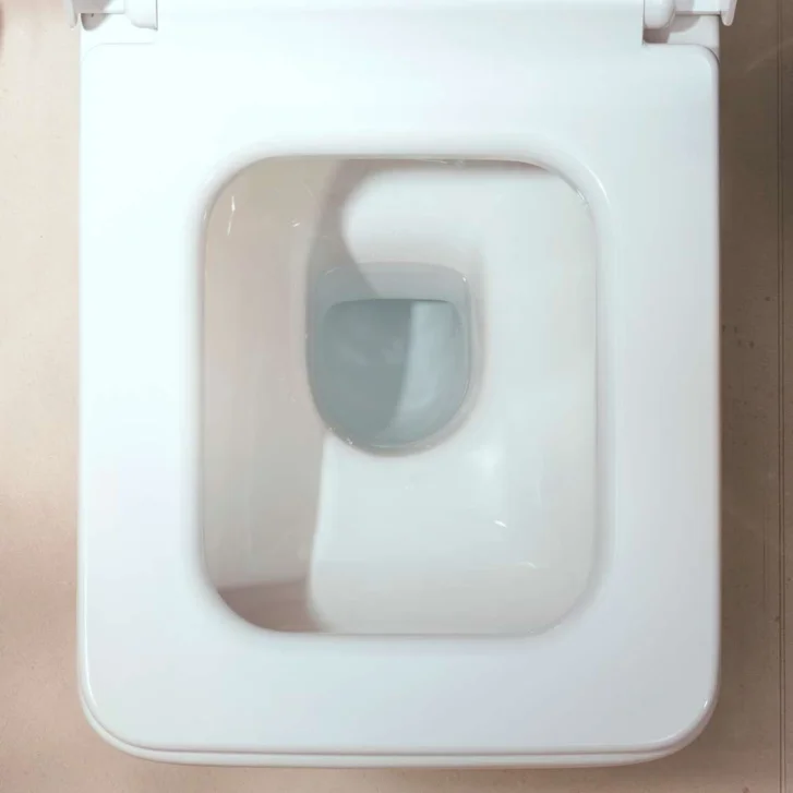 Hansgrohe EluPura Original Q - WC kombi misa, vario odpad, Rimless, biela 60137450