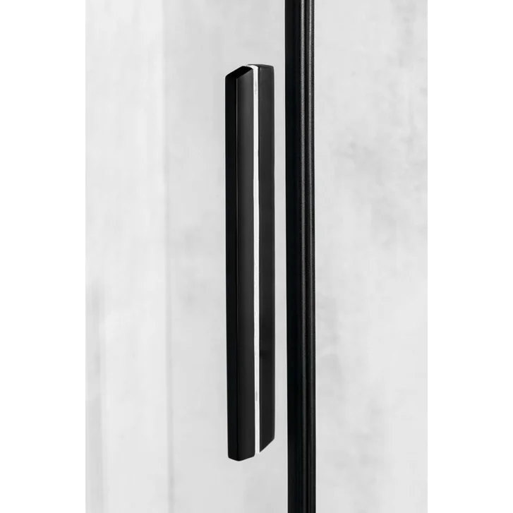 Polysan Altis Line - Sprchové dvere, 100x200 cm, matná čierna/číre sklo AL1512B