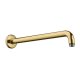 Hansgrohe Aktiva - Sprchové rameno 39 cm, leštený vzhľad zlata 27413990