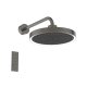 Ideal Standard Idealrain Solos - Hlavová sprcha s pripojením, priemer 33 cm, 3 prúdy, s LED osvetlením, Magnetic Grey A7890A5